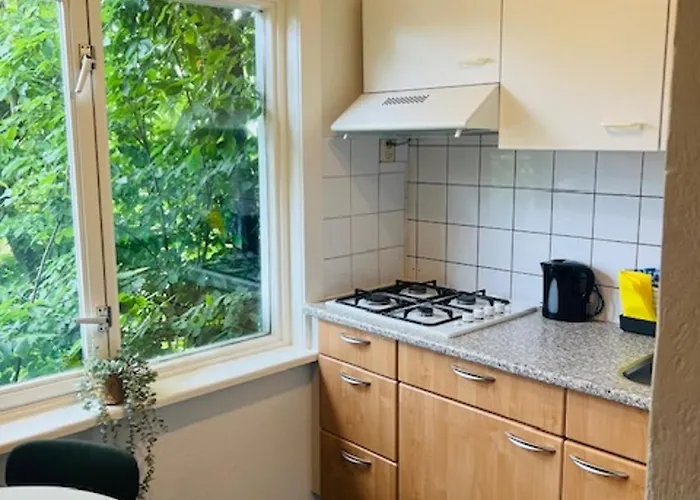 4p With Rooftop Terrace At Piushaven Centrum *