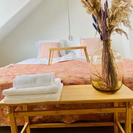 Apartamento 4p With Rooftop Terrace At Piushaven Centrum